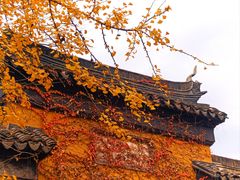 -西园戒幢律寺