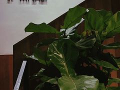 -米泰MiThai