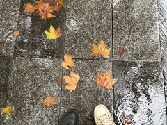 -公交新村粉店(赤岗冲店)
