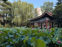-西安国际创新人才交流中心•药浴温泉
