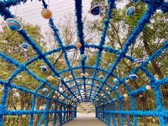 -北京石景山游乐园