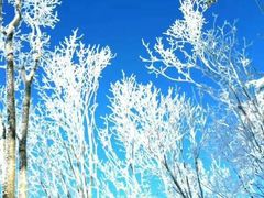 -雪谷