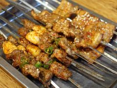-福苗小骆驼烧烤(大唐不夜城店)