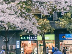 -玛格萝妮比萨屋(四平店)