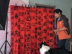 -趣玩宠物乐园寄养训犬训狗游泳池