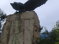 -北京鹫峰国家森林公园