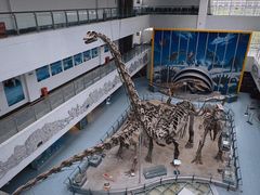 -中国地质大学逸夫博物馆