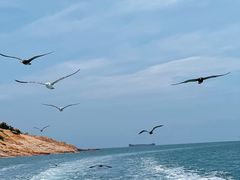 -海驴岛(荣成市)