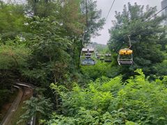 -富斯特索道