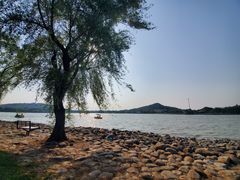 -上海月湖雕塑公园