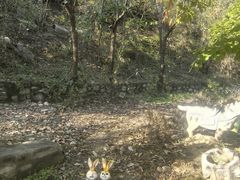 -碓臼峪自然风景区