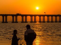 -宝安西湾红树林湿地公园