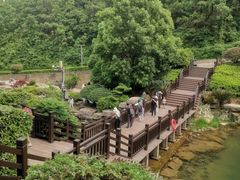 -桃花岭景区