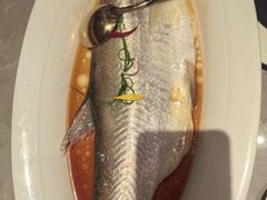 -醉庐·新上海菜(南京西路店)