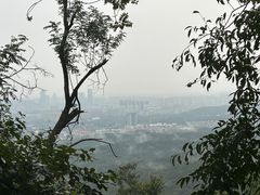 -紫金山山顶公园