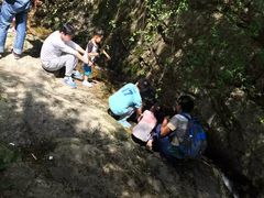 -王顺山国家森林公园