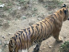 -济南野生动物世界