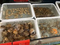 -坛南湾阿强农家乐.海鲜大排档老字号(福州地标美食店)