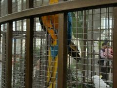 -南宫五洲植物乐园