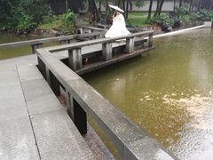 -深圳国际园林花卉博览园