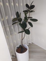 -HEYAN荷妍专业脱毛连锁机构