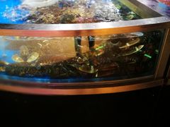 -盒马鲜生(杭州运河上街店)