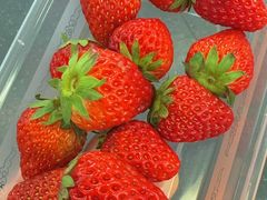 奶油草莓-果唯伊(共和新路店)