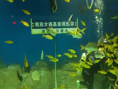 -大连圣亚海洋世界