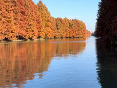 -上海海湾国家森林公园