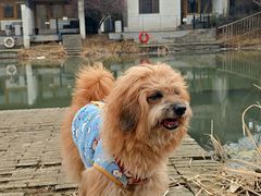 -祝甸砖窑文化馆