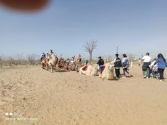 -水洞沟旅游区