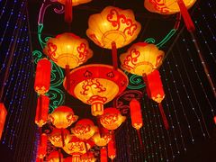 -武汉园博园(武汉自然博物馆)