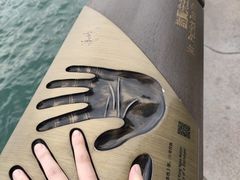 -星光大道