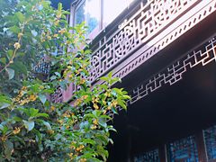 -苏州文旅花间堂·探花府酒店