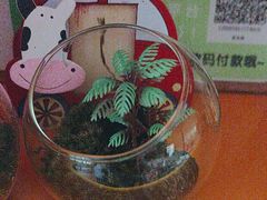 -芳草地度假酒店·野炉中餐厅