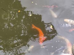 -苏州碑刻博物馆
