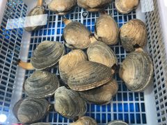 -渔人湾码头海鲜市场负二楼
