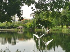-四海公园(南山区)