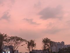 -番禺广场(市桥街道)