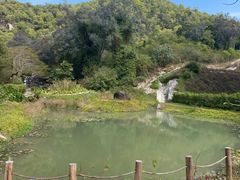 -石溪公园