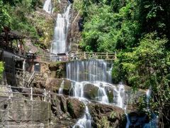 -鼎湖山风景区