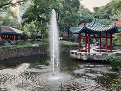 -九龙公园