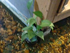 -邈墨茶馆(凤起路店)