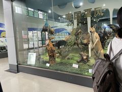 -郑州自然博物馆(惠济区)