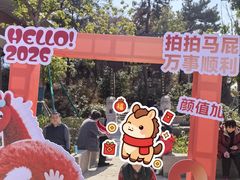 -平湖九龙山旅游度假区