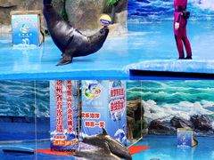 -多彩贵州城极地海洋世界