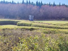 -秦始皇帝陵博物院-丽山园