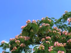 -周洛大峡谷