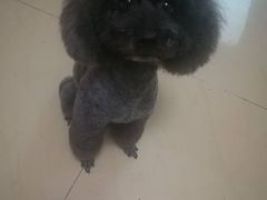 -纳吉亚猫专科动物医院·北北分院