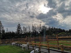 -前小桔亲子创意农场·草莓采摘·露营烧烤